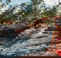 Litchfield National Park Day Tour from Darwin With Waterfalls And Buley Rockhole - Accommodation in Brisbane