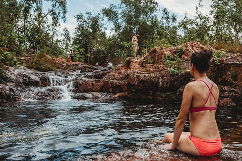 Litchfield National Park Day Tour From Darwin With Waterfalls And Buley Rockhole - Accommodation in Brisbane 0
