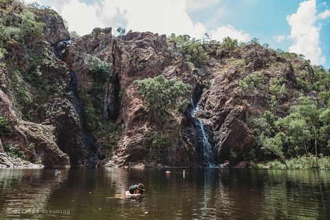 Litchfield National Park Day Tour From Darwin With Waterfalls And Buley Rockhole - Accommodation in Brisbane 1