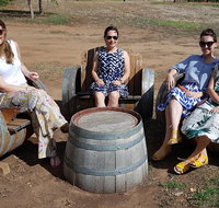 McLaren Vale Intimate Winery Tour by private Limo - Accommodation in Brisbane