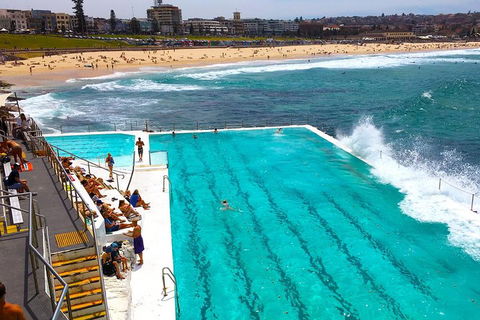 Private Sydney Half Day Tour Including Sydney Opera House And Bondi Beach - Accommodation in Brisbane 1