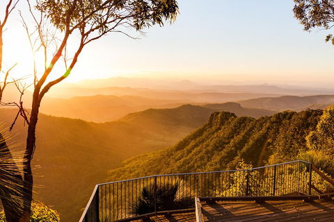 O'Reilly's & Lamington National Park Incl. Alpaca Farm + Vineyard - Accommodation in Brisbane 0