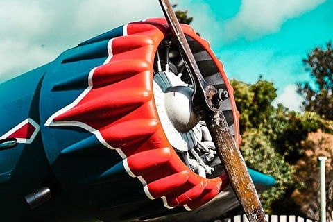 O'Reilly's & Lamington National Park Incl. Alpaca Farm + Vineyard - Accommodation in Brisbane 1