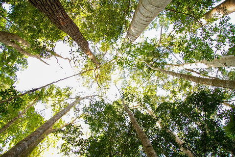 Fraser Island 4WD Tour From Noosa - Accommodation in Brisbane 0