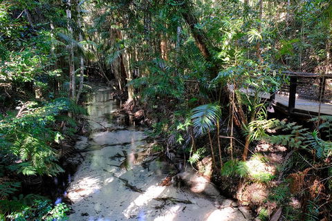 Fraser Island 4WD Tour From Rainbow Beach - Accommodation in Brisbane 0