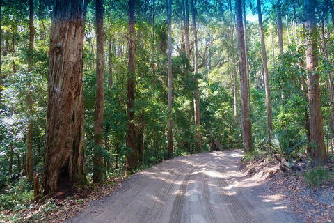 Fraser Island 4WD Tour From Rainbow Beach - Accommodation in Brisbane 4