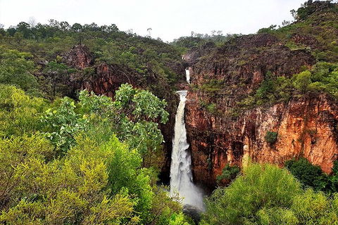 Ethical Adventures - Best In The WET - Litchfield / Kakadu 3 Day- Max 10 Guests - Accommodation in Brisbane 2