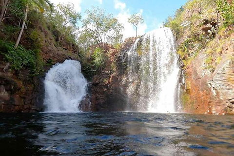Ethical Adventures - Best In The WET - Litchfield / Kakadu 3 Day- Max 10 Guests - Accommodation in Brisbane 5