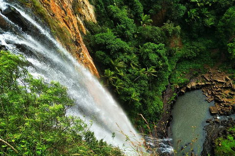 Private Tour - Rainforest & Waterfalls Extravaganza - Accommodation in Brisbane 2