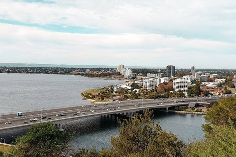 Highlights Of Kings Park - Accommodation in Brisbane 2