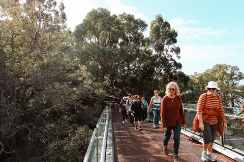Highlights Of Kings Park - Accommodation in Brisbane 3