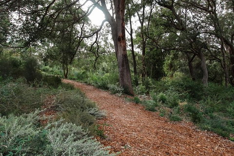 Highlights Of Kings Park - Accommodation in Brisbane 5