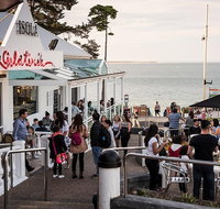 Phillip Island and French Island Wildlife Expedition - Accommodation in Brisbane