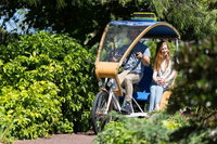 Book Viator Accommodation Vacations Accommodation in Brisbane Accommodation in Brisbane