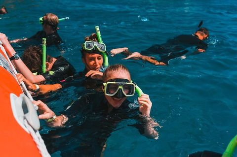 Whitehaven Beach And Hill Inlet Lookout Full-Day Snorkeling Cruise By High-Speed Catamaran - Accommodation in Brisbane 3