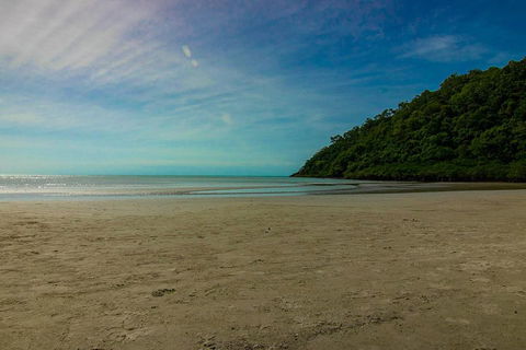 Cape Tribulation Day Tour - Accommodation in Brisbane 2
