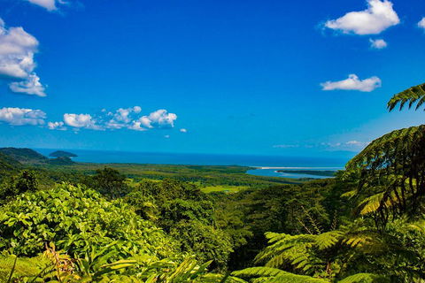 Cape Tribulation Day Tour - Accommodation in Brisbane 3