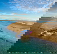 Town of 1770 Afternoon Cruise - Accommodation in Brisbane