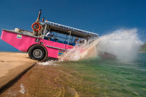 Town Of 1770 Afternoon Cruise - Accommodation in Brisbane 2