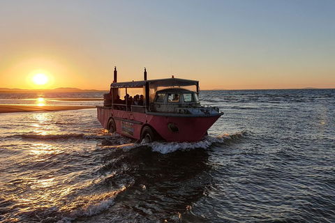 Town Of 1770 Afternoon Cruise - Accommodation in Brisbane 3