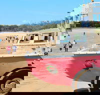 1770 Coastline Tour by LARC Amphibious Vehicle Including Picnic Lunch - Accommodation in Brisbane