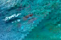 Book Viator Accommodation Vacations Accommodation in Brisbane Accommodation in Brisbane