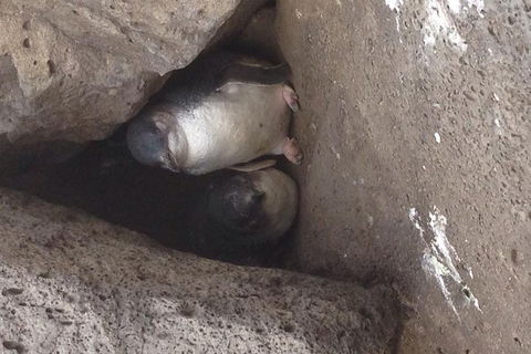 Food Tour Melbourne - St Kilda - Accommodation in Brisbane 3