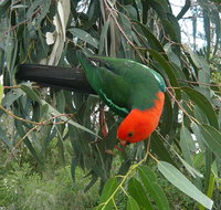 3-Day Private Adelaide to Melbourne tour - Accommodation in Brisbane