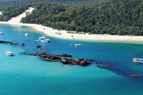 All Inclusive Dolphin And Tangalooma Wrecks Cruise - Accommodation in Brisbane 4