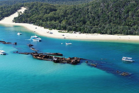 All Inclusive Tangalooma Wrecks Cruise Tour From Gold Coast - Accommodation in Brisbane 0