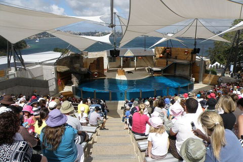 Sydney Taronga Zoo General Entry Ticket - Accommodation in Brisbane 5