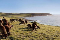 Kangaroo Island Personal Group Tours, Adelaide