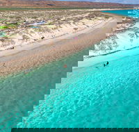 Ningaloo in a Day - Full Day Hike and Snorkel Tour with Lunch - Accommodation in Brisbane