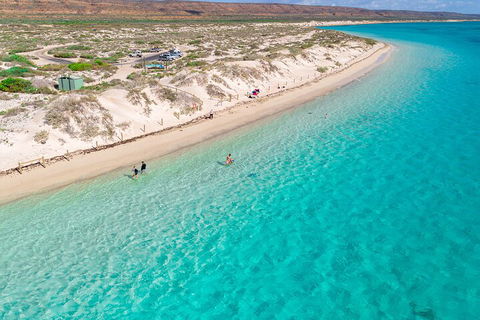 Ningaloo In A Day - Full Day Hike And Snorkel Tour With Lunch - Accommodation in Brisbane 0