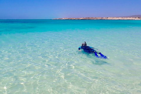 Ningaloo In A Day - Full Day Hike And Snorkel Tour With Lunch - Accommodation in Brisbane 4