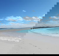 Shipwreck Special Nature Tour/Half Day Tour - Accommodation in Brisbane