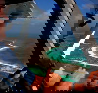 Abrolhos Islands Fixed-Wing Scenic Flight - Accommodation in Brisbane