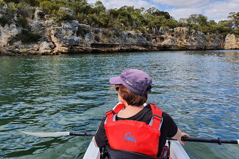 Cliffs And Caves Kayak Tour In Swan River - Accommodation in Brisbane 0