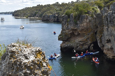 Cliffs And Caves Kayak Tour In Swan River - Accommodation in Brisbane 5