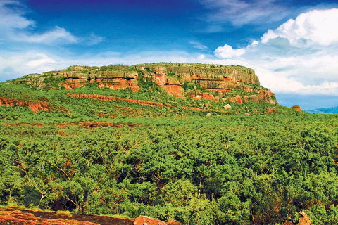 Kakadu, Nourlangie And Yellow Waters Tour From Darwin - Accommodation in Brisbane 3