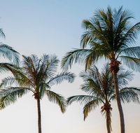 Darwin City Sightseeing Tour - Accommodation in Brisbane