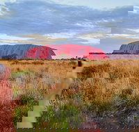 Uluru Ayers Rock Sunset with Outback Barbecue Dinner and Star Tour - Accommodation in Brisbane