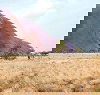 Uluru Sunrise and Guided Base Walk - Accommodation in Brisbane