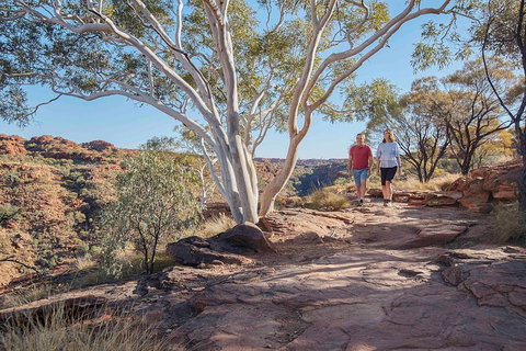 3-Day Tour From Uluru (Ayers Rock) To Alice Springs Via Kings Canyon - Accommodation in Brisbane 1