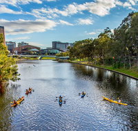 Adelaide City Kayak Tour - Accommodation in Brisbane
