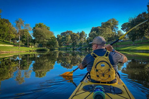 Adelaide City Kayak Tour - Accommodation in Brisbane 5