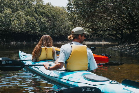 Kayak Tour In Adelaide Dolphin Sanctuary - Accommodation in Brisbane 2