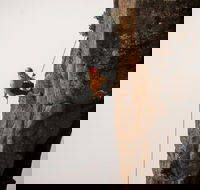 100 Metre Abseil Mount Wellington Hobart - Accommodation in Brisbane