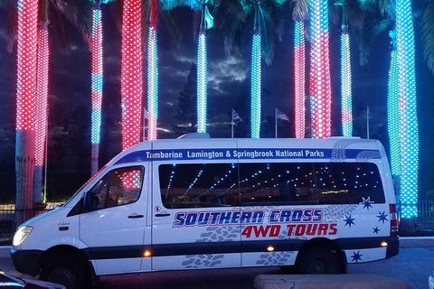 Evening Rainforest & Glow Worm Experience - Accommodation in Brisbane 0