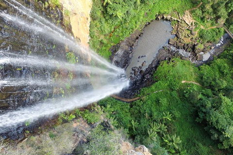 Natural Bridge & Springbrook Waterfalls Tour + Hot Air Balloon With Breakfast - Accommodation in Brisbane 1